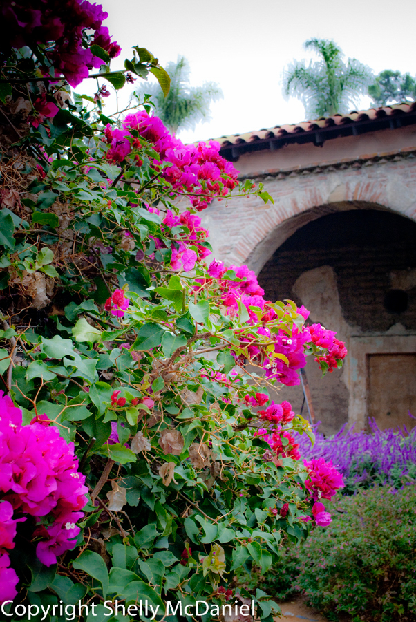 'Mission San Juan Capistrano'